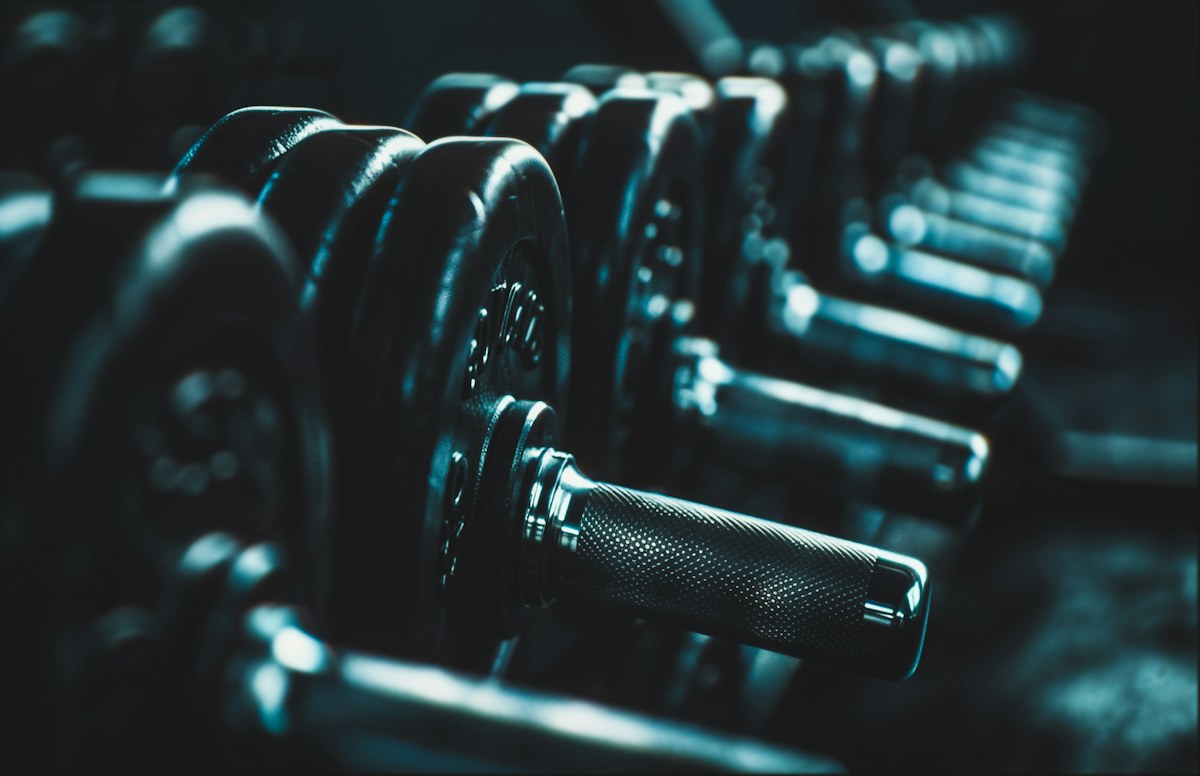 A neatly arranged rack of metal dumbbells in a gym